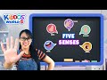 Understanding Our Five Senses