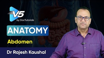 Master the Abdomen in Anatomy | Dr Rajesh Kaushal | NEET PG  | DocTutorials