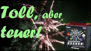 Celebrity Funke - Colourful Python | Neuheit 2024 | Genießer Effekt Wealth