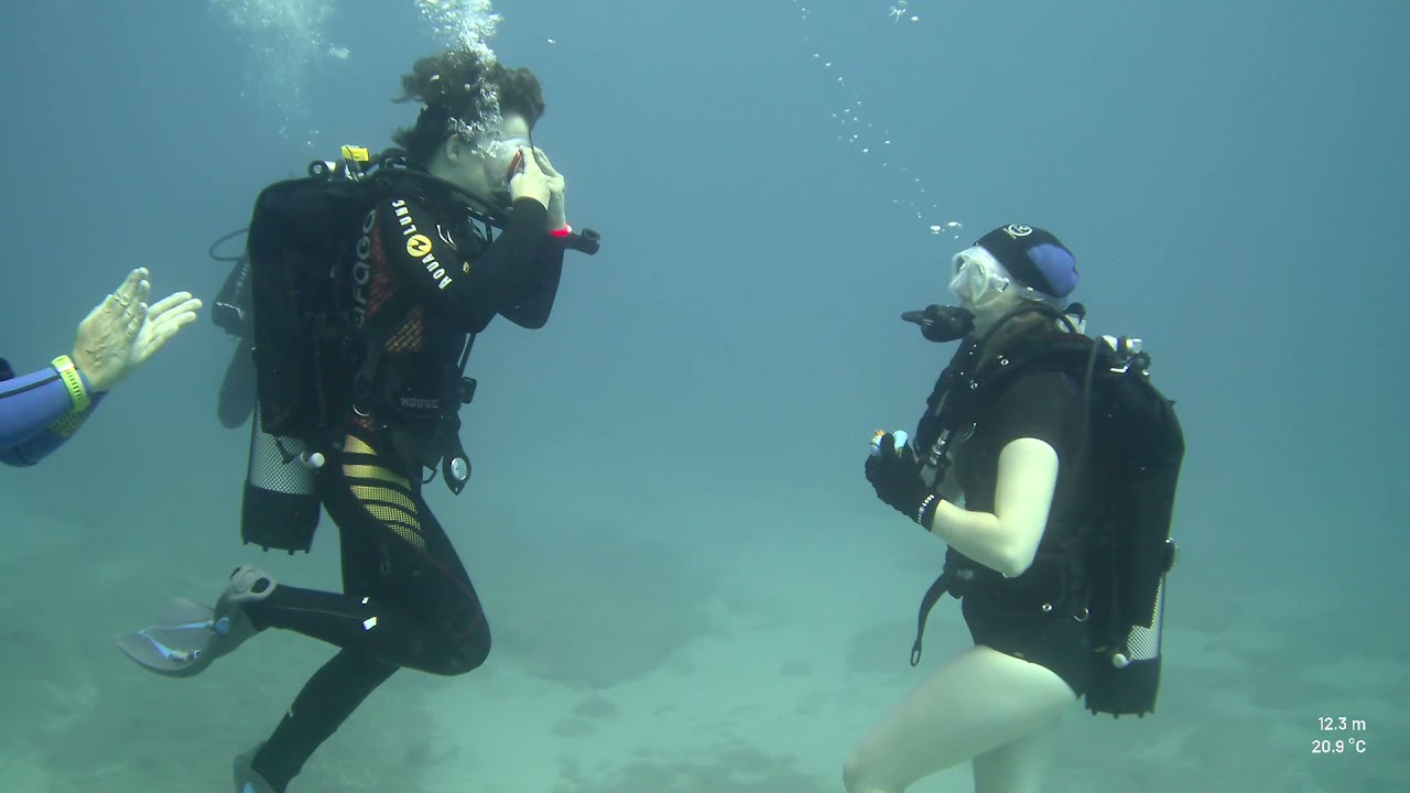 NAUI Diver's 100th dive