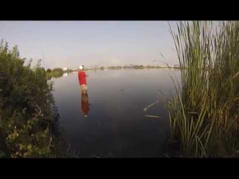 ფოთში სპინინგით თევზაობაში ჩემპიონატი ჩატარდა 30 07 18