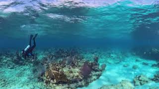 Key Largo reef insta360 x4 8K