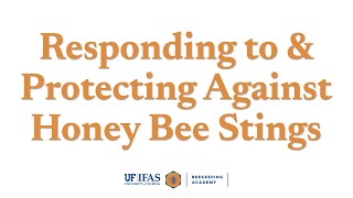 Beekeeping Academy | Ep. 9 | Responding to and Protecting Against Honey Bee Stings