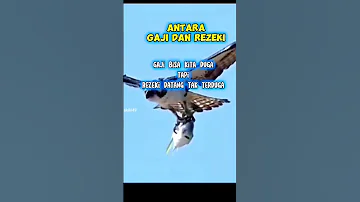 GAJI DAN REZEKI BEDANYA ..?