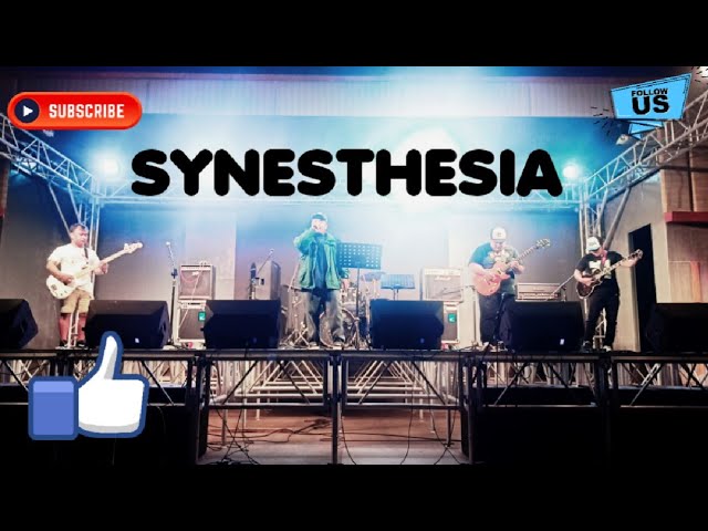 SYNESTHESIA BY MAYONNAISE (COVER)