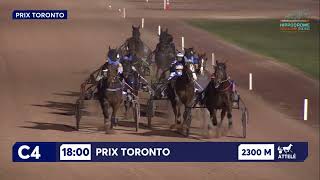 Vidéo de la course PMU PRIX TORONTO