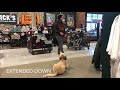 Highland Mills Dog Trainer | 9 Month Old Doodle Roxy | Off Leash K9 Training Highland Mills Dog Trainer | 9 Month Old Doodle Roxy | Off Leash K9 Training