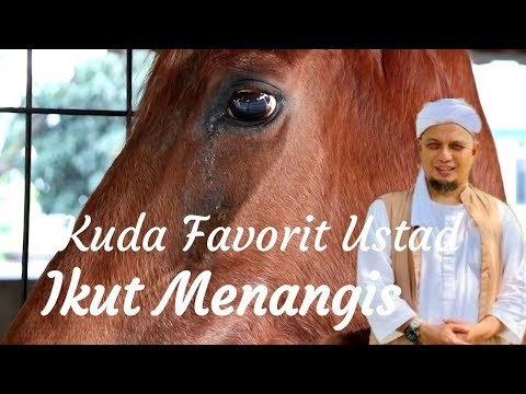 heboh-|-kuda-favorit-ustad-arifin-ilham-ikut-menangis-mengetahui-ustad-wafat