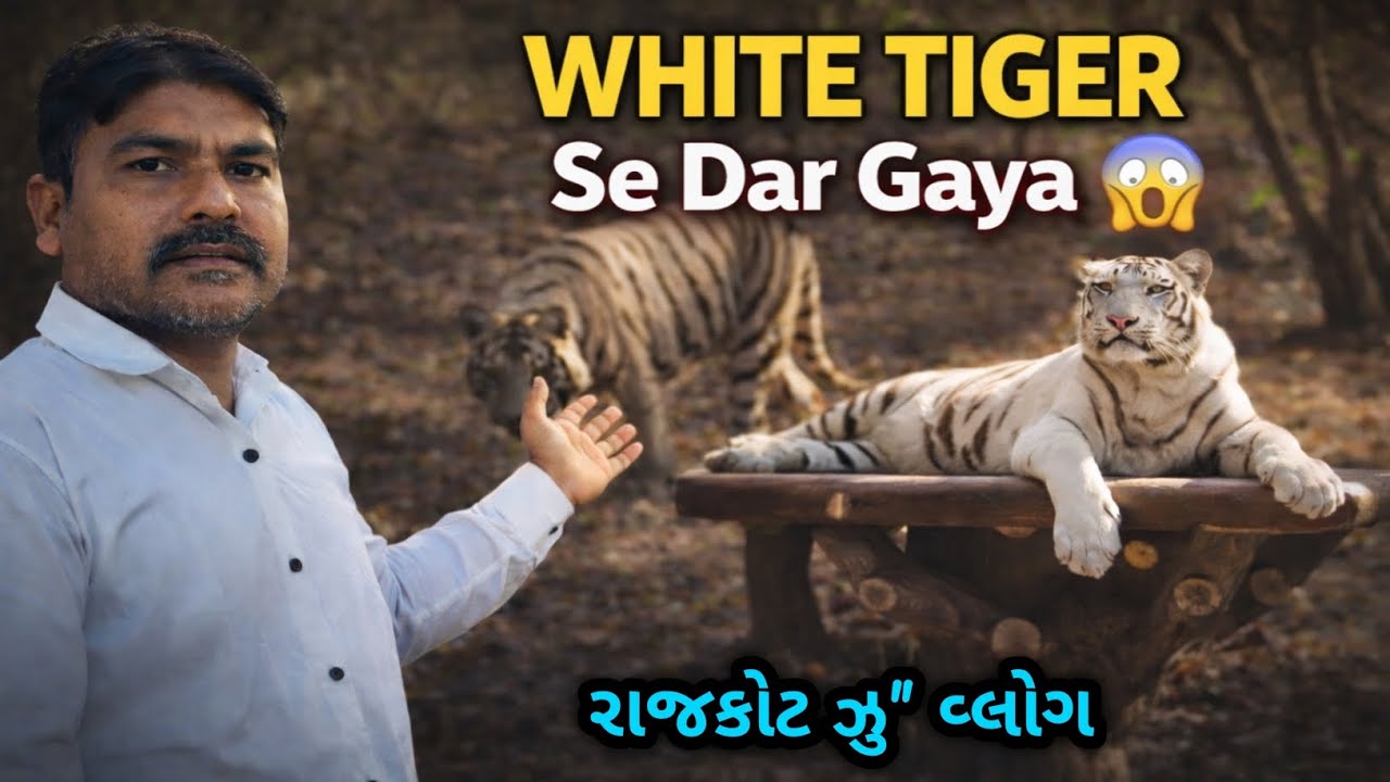 White Tiger Najik Thi Joyo 😱 | Family Zoo Vlog 2026 