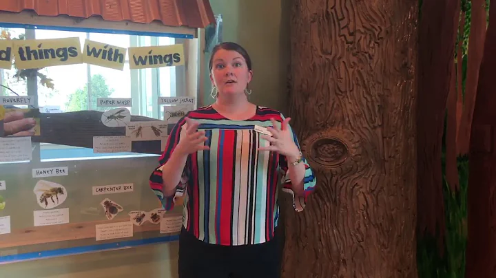 Why Greenfield? with Amy Erwin