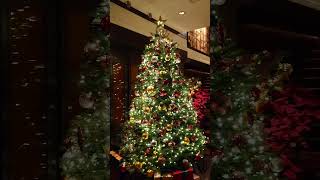 麒麟楼 クリスマスツリー🎄❤️