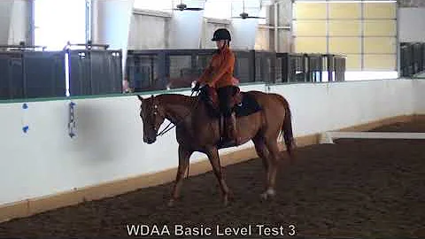 Western Dressage Basic 4 Janet Cagle Kit and Caboo...
