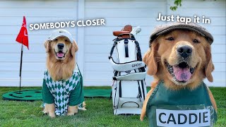 They Call Me Happy Dogmore! Net Worth