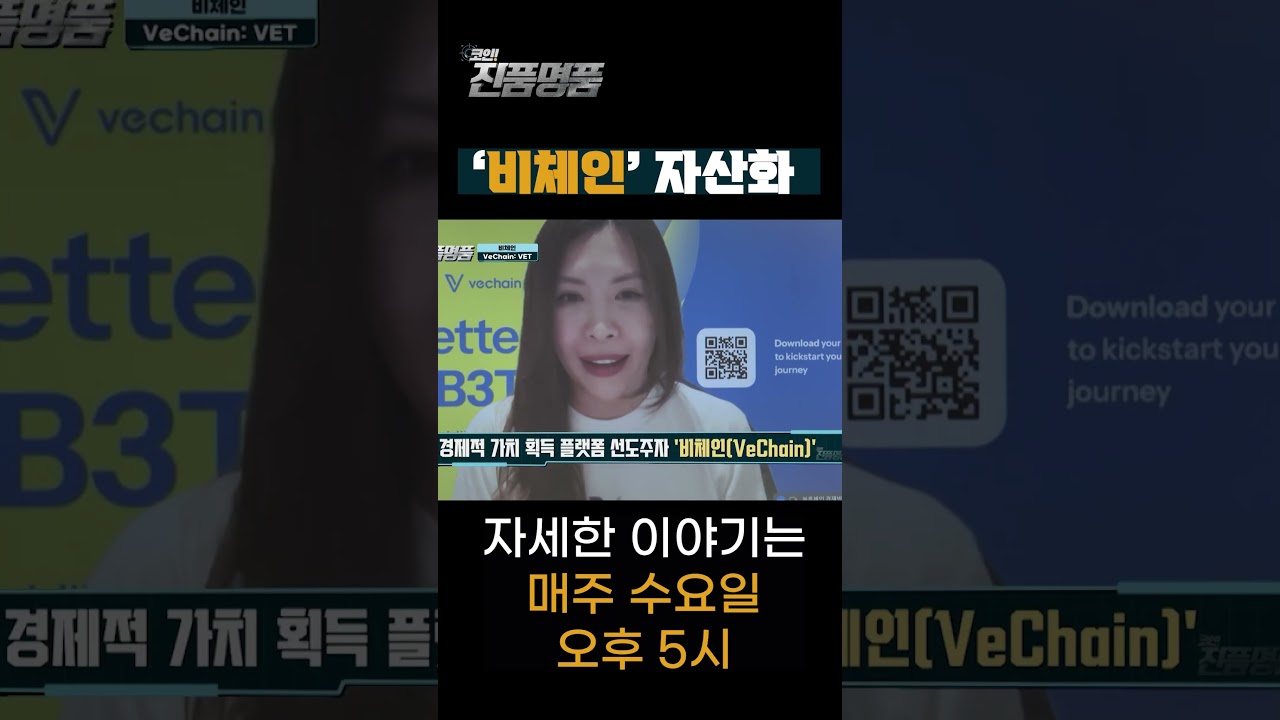 비체인, 전망 밝다? - YouTube