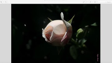 How to Rotate Text for Vertical Branding on a Photo in Mac Preview