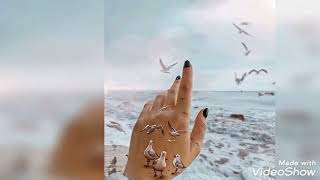شيخة لجنية على جلك نبات نسكر - اسمعها