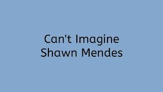 Shawn Mendes - Can't Imagine (Lyrics)