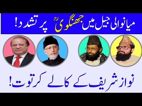 The role of Nawaz Sharif || Moulana Zia ul Rahman Farooqi || Ustad News