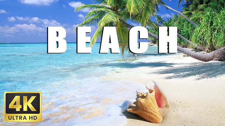 4K HDR Tropical Beach - Gentle Ocean Wave Sounds - Peaceful Wild Island - Relaxing Nature Video