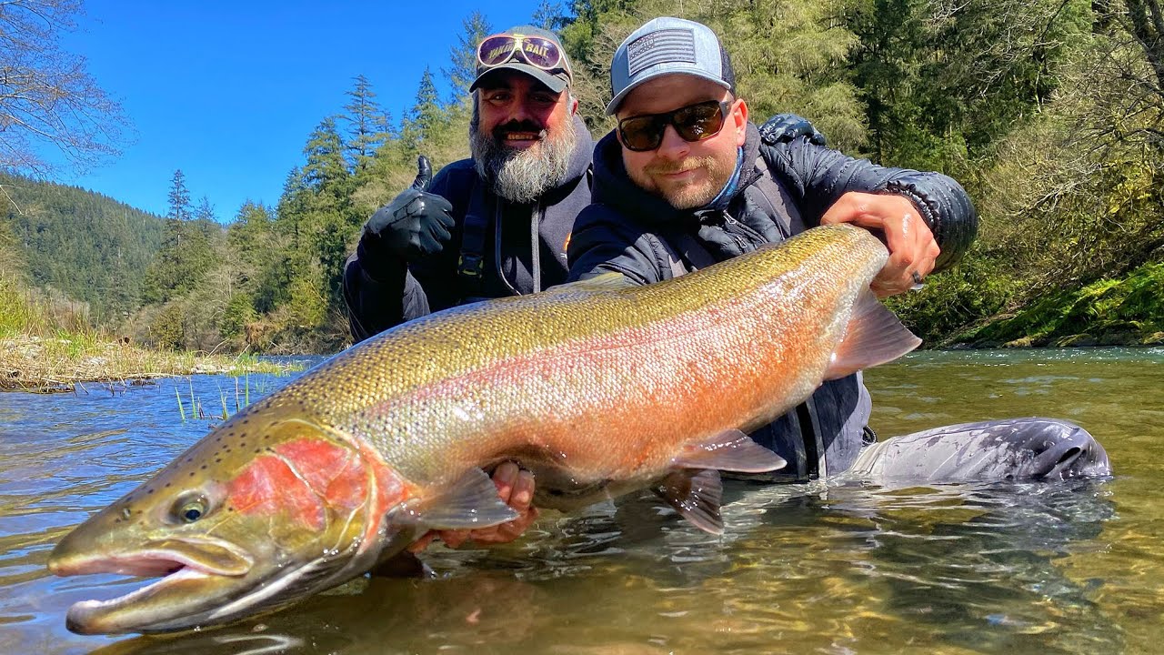 Crazy MONSTER Steelhead FISHING! Epic BOBBER DOWNS! (NEW PB