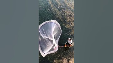 Net Making   Fishing Net   How To Make Your Own Fishing Net 83