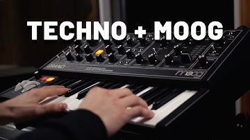 Moog Grandmother + Techno Drum Loops | Analog Synth Jam