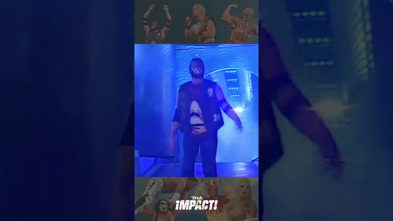 Shell Yeah! Stone Cold Shark Boy 