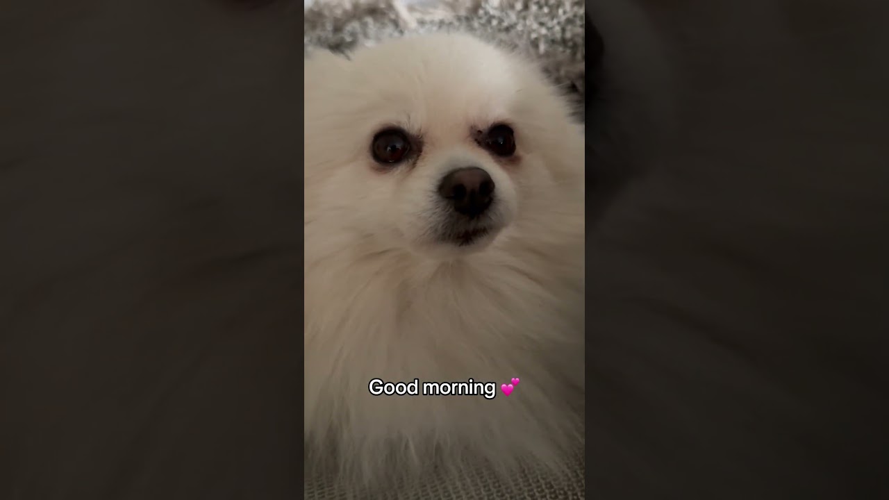 Morning 💖💖💖💖 