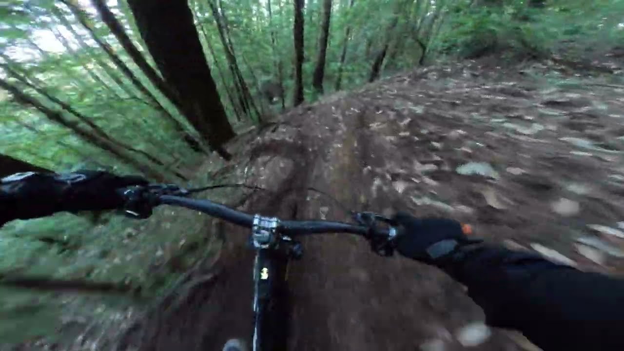 UCSC MTB | Threw some PB&J in the mix | Turbo Levo | 1.5.25