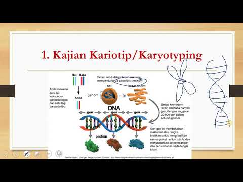 Video: Bolehkah karyotype mengesan gangguan genetik?
