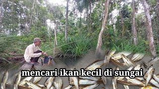 memancing ikan di sungai masak makan di pondok kebun