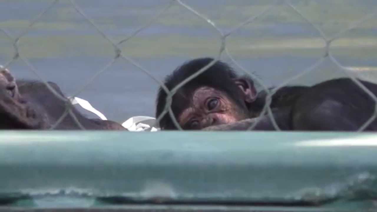 Zoe's New Baby: Johari (One Week Old)