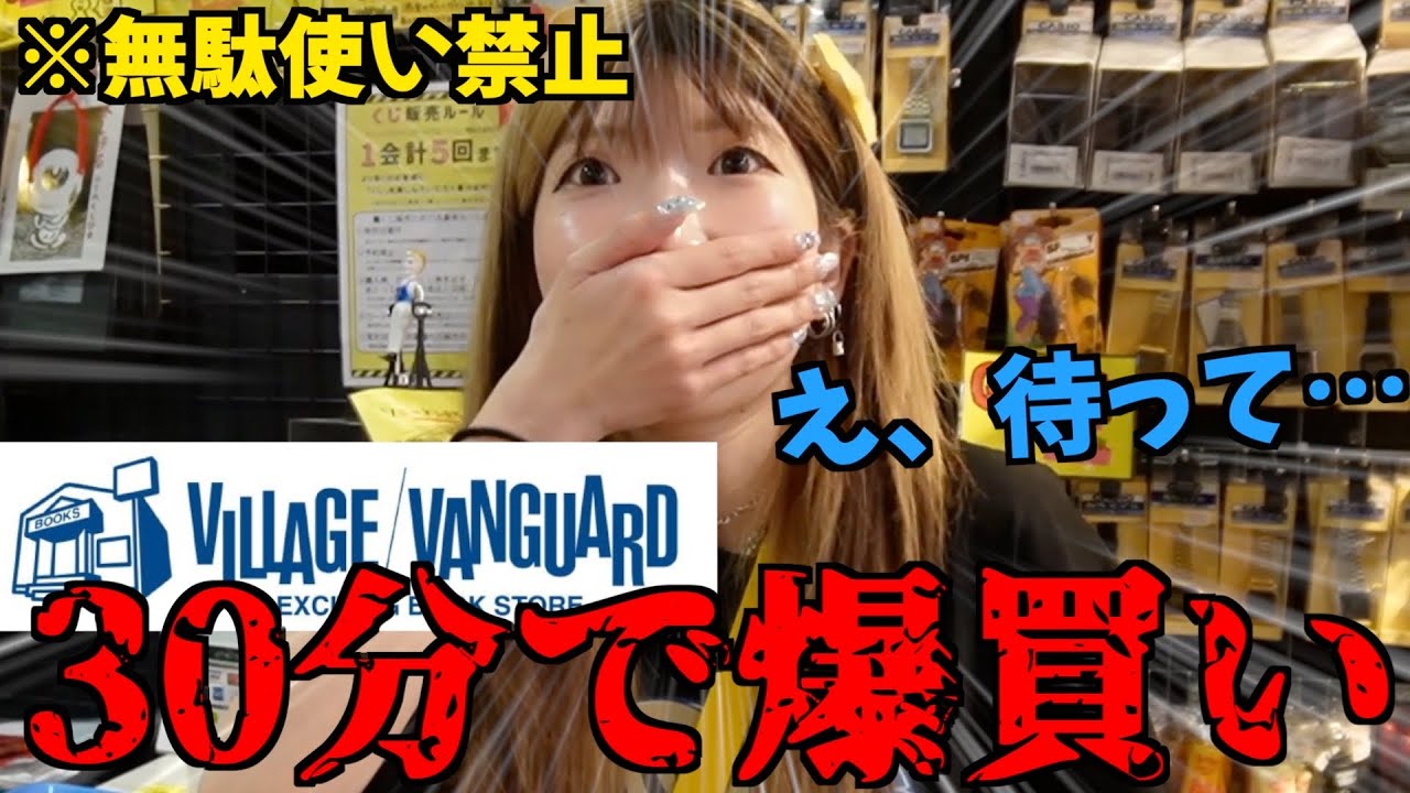 【過去最高金額】無駄使い禁止ヴィレヴァンで30分買い物したら◯◯◯◯◯円買ってて詰んだw【爆買い女王】