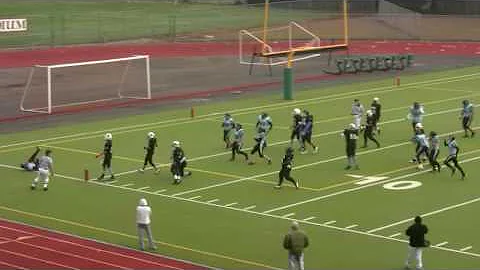 Nuu scores the first TD for the Sharks