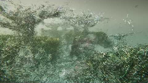 Unity | Point Cloud Garden