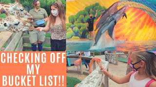 Indianapolis Zoo Indiana Travel Vlog Feeding Giraffes Flamingos