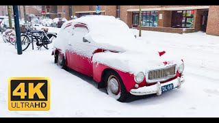 Snowfall in Rotterdam, Netherlands (7 February 2021) 4k