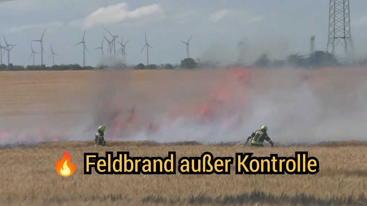 🔥Feldbrand außer Kontrolle - Großeinsatz bei starkem Wind nähe Siebenhausen am 26.06.2025