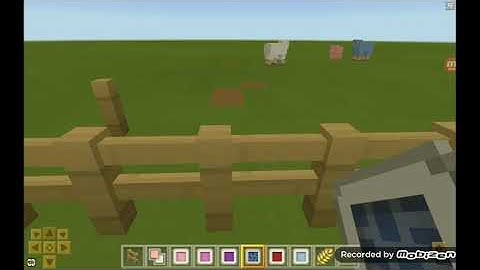 how to colour sheeps 💜In lokicraft || Rainbow sheep ||FUN WITH VIHAAN #3