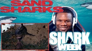 Sand Sharks Reaction & Review - Good Bad Movies #9