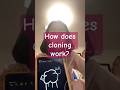 How does cloning work?