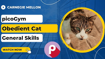 picoGym (picoCTF) Exercise: Obedient Cat