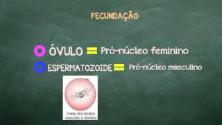 Mind Map: Fertilization #3