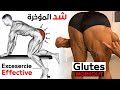 تمارين شد ورفع المؤخــ ــــرة لرجال والنساء Glutes Workout 