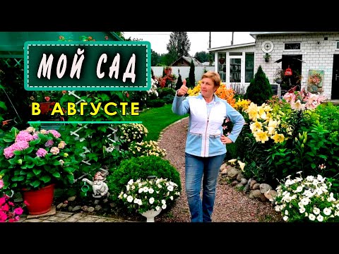 ОБЗОР САДА. Мой