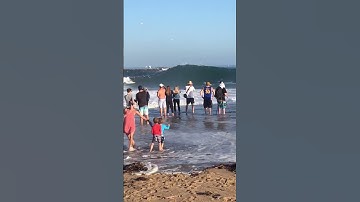 Worlds Biggest Shorebreak #shorts #thewedge