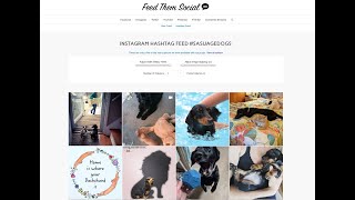 Setting up Instagram Hashtag Feed for Feed Them Social