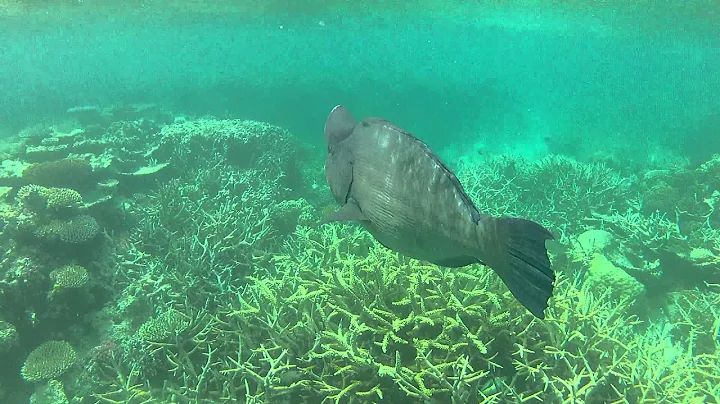 Chasing the big one