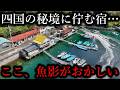 四国の山奥に佇む「釣りが出来る宿」…目の前の桟橋は魚影が濃すぎる異常地点でした
