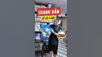 Tranh Dán Bể Cá 2 Mặt Đẹp Mà Lúa Mềm Ạ